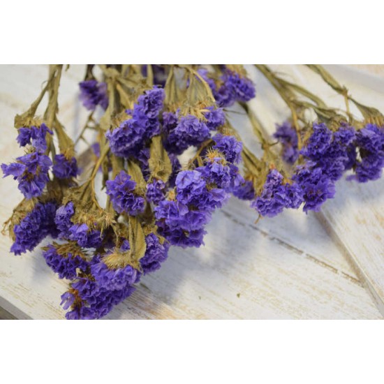 Dried Statice Sinuata Flower Bunch - Lavender