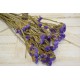 Dried Statice Sinuata Flower Bunch - Lavender