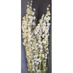 Dried White Larkspur Flowers For Sale