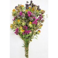 Wild Garden Flower Bouquet