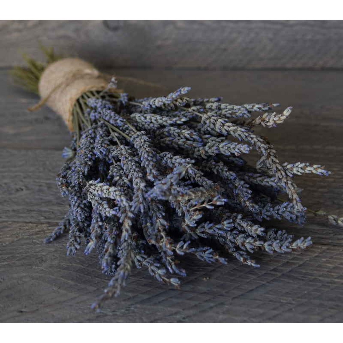 Dried Lavender Bunch Grosso French lavender Dried Lavendar bunch