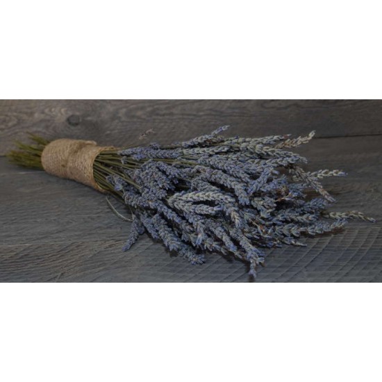Dried Lavender Bunch - Grosso (French) Dried Lavender Bunch - Grosso (French)