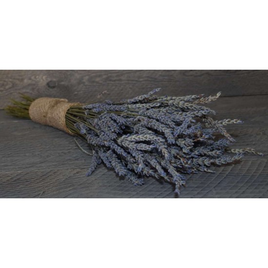 Dried Lavender Bunch - Grosso (French)