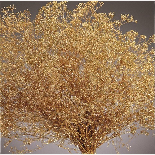 Dried Flowers Wholesale Bulk Wheat Discount Floral