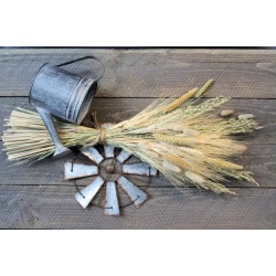 Late Summer Harvest Grain Bunch