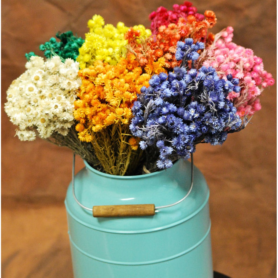 Dyed Mini Everlasting Flowers Dried Helichrysum