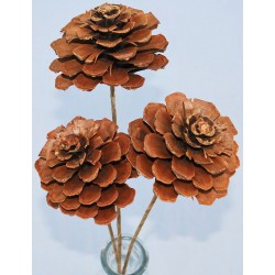 Pine Cone Roses - Stemmed or Unstemmed
