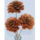 Pine Cone Roses - Stemmed or Unstemmed