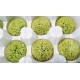 Preserved Chrysanthemum - 8 per Order - Colors: Red-Green Preserved Chrysanthemum - 8 per Order - Colors: Red-Green