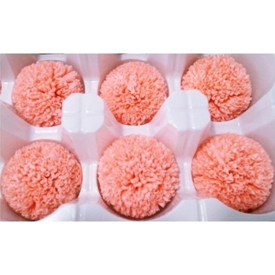 Preserved Chrysanthemum - 8 per Order - Colors: Red-Green Preserved Chrysanthemum - 8 per Order - Colors: Red-Green