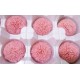 Preserved Chrysanthemum - 8 per Order - Colors: Red-Green Preserved Chrysanthemum - 8 per Order - Colors: Red-Green