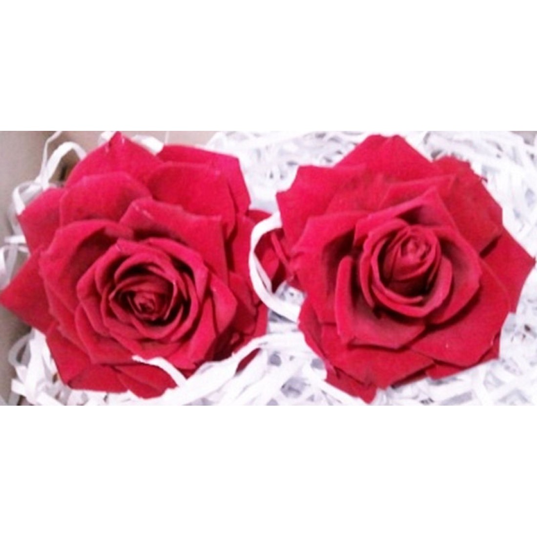 Preserved Roses Extra Large Roses 2 per Order Colors