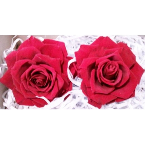 Preserved Roses - Extra Large - 2 per Order - Colors Preserved Roses - Extra Large - 2 per Order - Colors