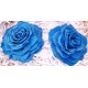 Preserved Roses - Extra Large - 2 per Order - Colors Preserved Roses - Extra Large - 2 per Order - Colors