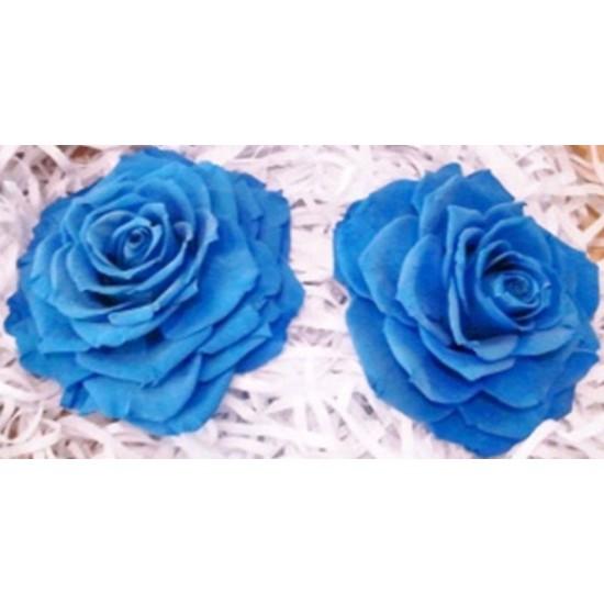 Preserved Roses - Extra Large - 2 per Order - Colors Preserved Roses - Extra Large - 2 per Order - Colors