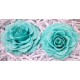Preserved Roses - Extra Large - 2 per Order - Colors Preserved Roses - Extra Large - 2 per Order - Colors