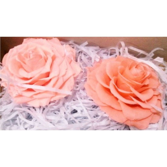 Preserved Roses - Extra Large - 2 per Order - Colors