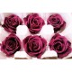 Preserved Roses - 8 per Order - Colors: Purple, Yellow, Orange Preserved Roses - 8 per Order - Colors: Purple, Yellow, Orange