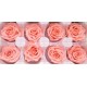 Preserved Roses - 8 per Order - Colors: Purple, Yellow, Orange Preserved Roses - 8 per Order - Colors: Purple, Yellow, Orange