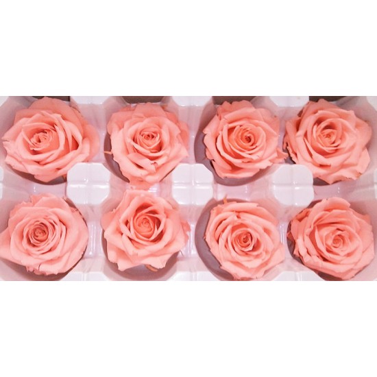 Preserved Roses - 8 per Order - Colors: Purple, Yellow, Orange