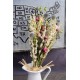 Dried Spring Meadow Bouquet Dried Spring Meadow Bouquet