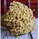 Dried Happy Flower - Straw Flowers