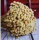 Dried Happy Flower - Straw Flowers Dried Happy Flower - Straw Flowers