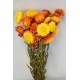 Dried Strawflowers Bouquet - Sunset