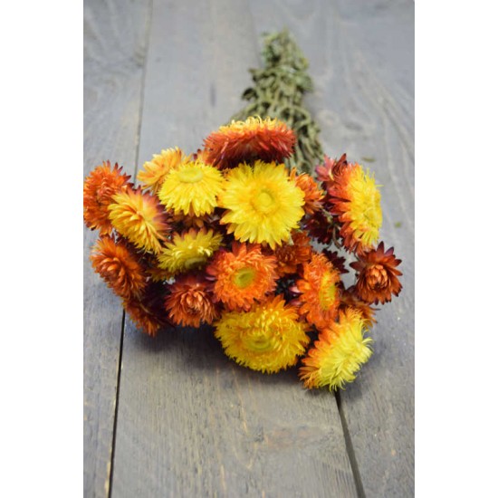Dried Strawflowers Bouquet - Sunset Dried Strawflowers Bouquet - Sunset