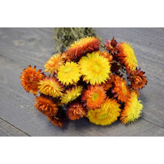 Dried Strawflowers Bouquet - Sunset