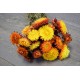 Dried Strawflowers Bouquet - Sunset