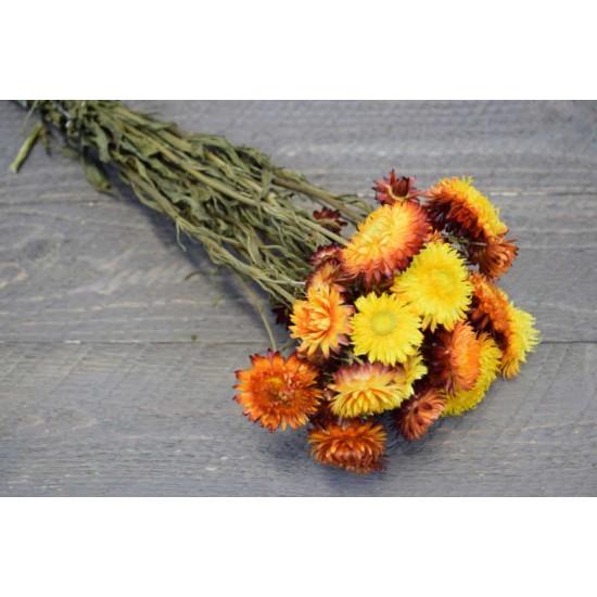 Dried Strawflowers Bouquet - Sunset