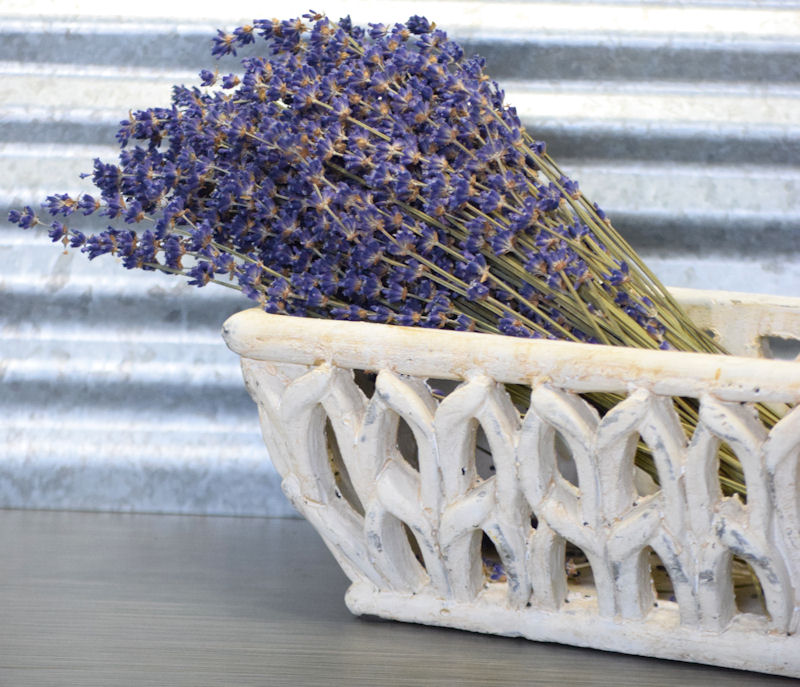 Crafts for Home Decor Gift,Wedding or Any Occasion 16-18 Long TooGet Lavender Dried Ultra Blue Bundles 100+ Stems