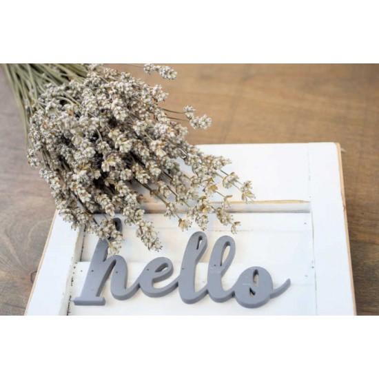 Rare Dried White Lavender Bunch Rare Dried White Lavender Bunch