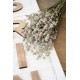 Rare Dried White Lavender Bunch Rare Dried White Lavender Bunch