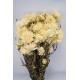 Dried Strawflowers Bouquet - White (neutral)