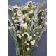 Dried White Garden Flower Bouquet Dried White Garden Flower Bouquet