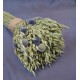 Wild and Free Echinops Oats Bouquet Wild and Free Echinops Oats Bouquet