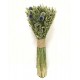 Wild and Free Echinops Oats Bouquet Wild and Free Echinops Oats Bouquet