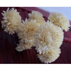 Wood Flowers - Wood Zinnia