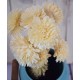 Wood Flowers - Wood Zinnia Wood Flowers - Wood Zinnia