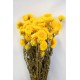 Dried Strawflowers Bouquet - Yellow