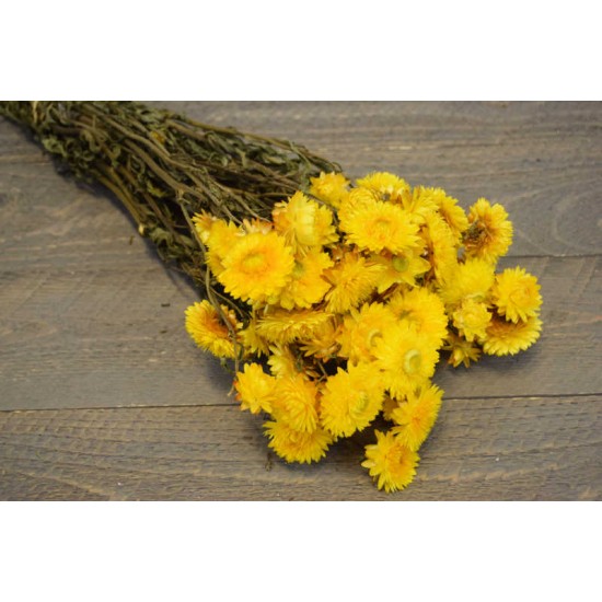 Dried Strawflowers Bouquet - Yellow