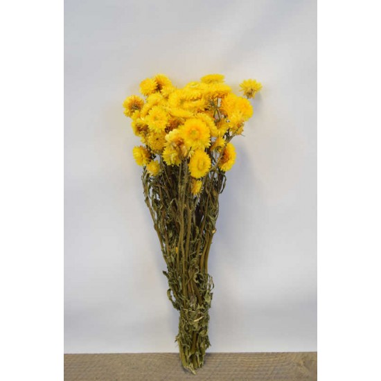 Dried Strawflowers Bouquet - Yellow