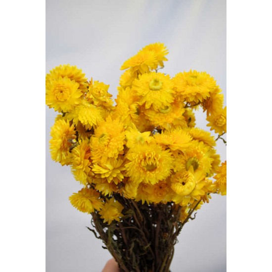 Dried Strawflowers Bouquet - Yellow