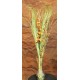 Berry Reed Grass Bouquet Berry Reed Grass Bouquet