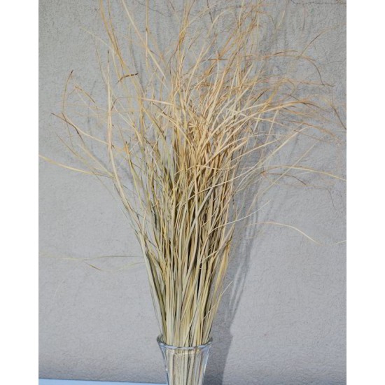 Dried Bear Grass - Decorative