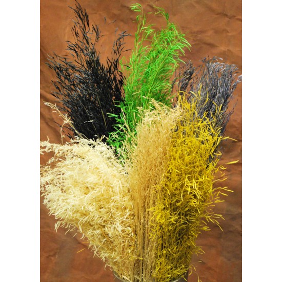 Dried Briza Quaking Grass Dried Briza Quaking Grass