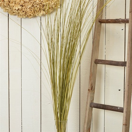 Dried Dune Grass - Natural