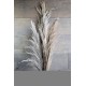 Dried Ornamental Pampas Grass - Dark Feather Stem